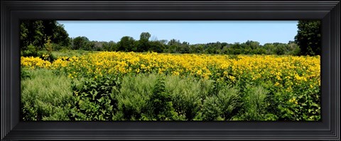 Framed Abshire Prairie, Indiana Print