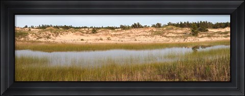 Framed Sand Dunes and Marsh, Michigan Print