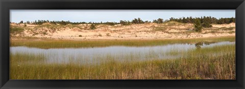 Framed Sand Dunes and Marsh, Michigan Print