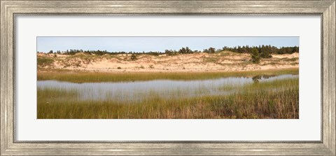 Framed Sand Dunes and Marsh, Michigan Print