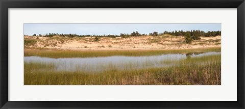 Framed Sand Dunes and Marsh, Michigan Print