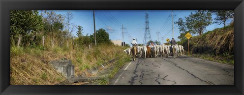 Framed Men with Horses on Road, Costa Rica Print