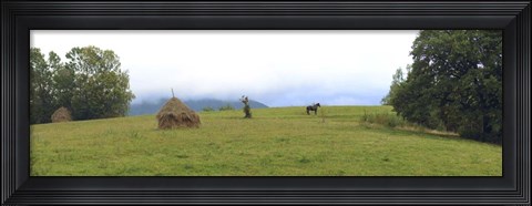 Framed Horse in a Field, Transylvania, Romania Print