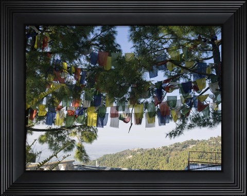 Framed Prayer Flags, Upper Dharamsala, Himachal Pradesh, India Print
