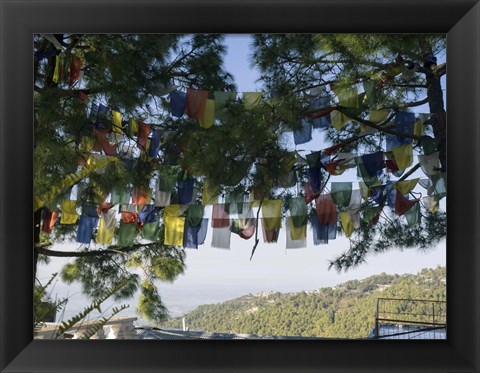 Framed Prayer Flags, Upper Dharamsala, Himachal Pradesh, India Print