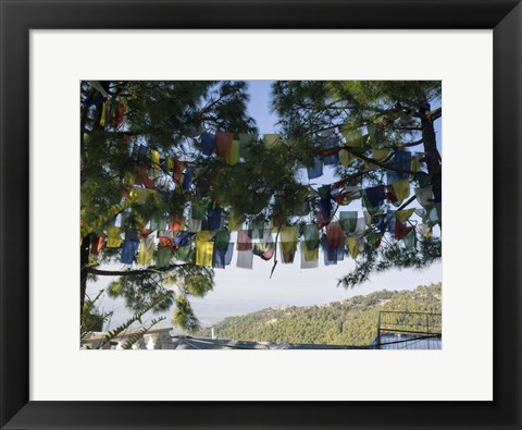 Framed Prayer Flags, Upper Dharamsala, Himachal Pradesh, India Print