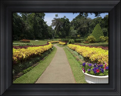 Framed Royal Botanical Gardens, Peradeniya, Sri Lanka Print