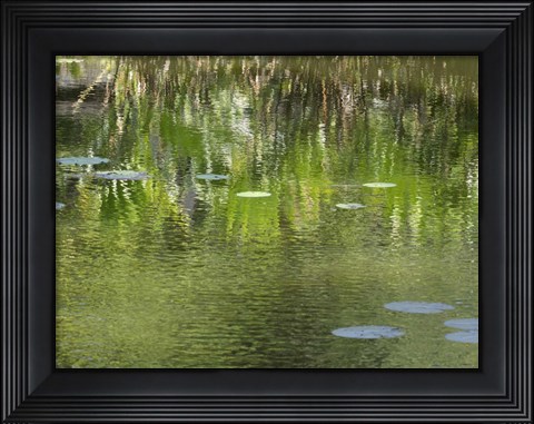 Framed Reflections in Pond at Lunuganga, Bentota, Sri Lanka Print