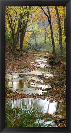 Framed Autumn at Schuster Hollow in Grant County, Wisconsin Print