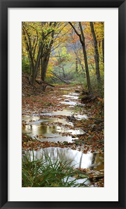 Framed Autumn at Schuster Hollow in Grant County, Wisconsin Print