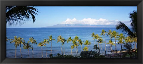 Framed Palm Trees on the Beach, Maui, Hawaii Print