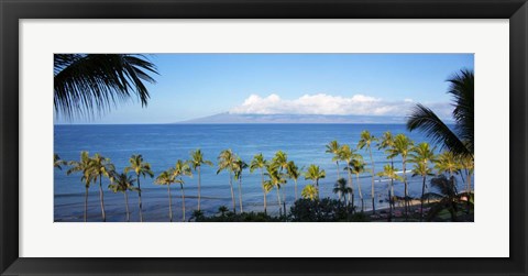 Framed Palm Trees on the Beach, Maui, Hawaii Print