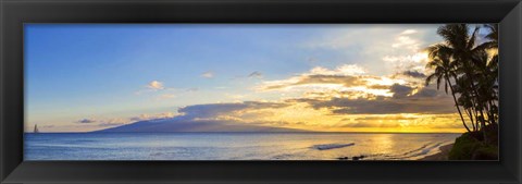 Framed Palm Trees at Dusk, Maui, Hawaii Print