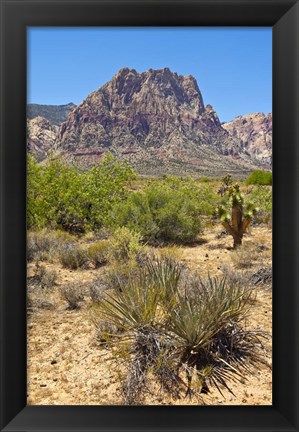 Framed Red Rock Canyon National Conservation Area, Las Vegas, Nevada Print