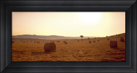 Framed Hay Bales, Tuscany, Italy Print