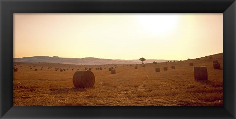 Framed Hay Bales, Tuscany, Italy Print