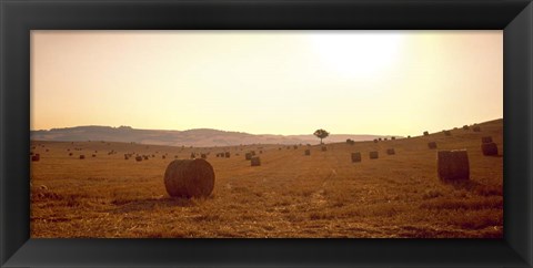 Framed Hay Bales, Tuscany, Italy Print