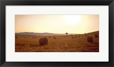 Framed Hay Bales, Tuscany, Italy Print