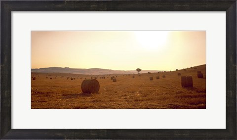 Framed Hay Bales, Tuscany, Italy Print