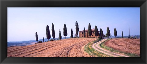 Framed Trees on a Hill, Tuscany, Italy Print