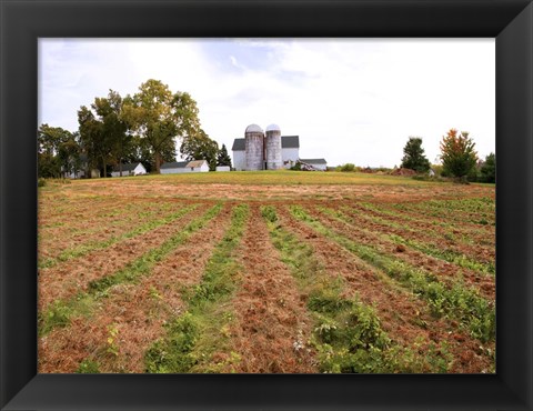 Framed Barn and Silo, Colts Neck Township, New Jersey Print