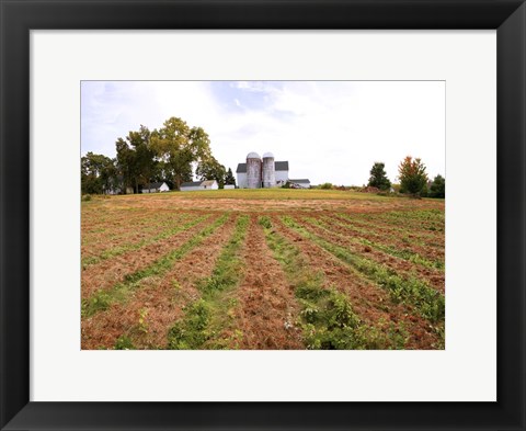 Framed Barn and Silo, Colts Neck Township, New Jersey Print