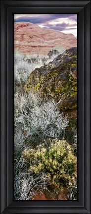 Framed Cliffs in Snow Canyon State Park, Utah Print