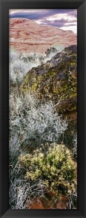 Framed Cliffs in Snow Canyon State Park, Utah Print