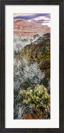 Framed Cliffs in Snow Canyon State Park, Utah Print