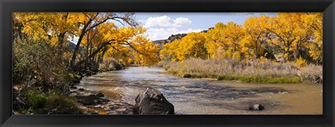 Framed Rio Grande River, Pilar, New Mexico Print