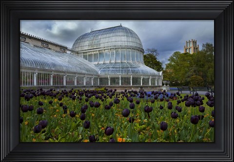 Framed Palm House in the Botanic Gardens, Northern Ireland Print