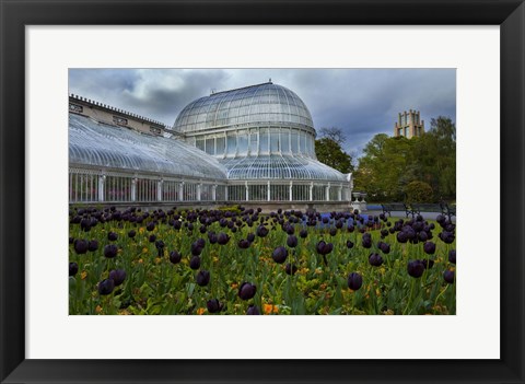 Framed Palm House in the Botanic Gardens, Northern Ireland Print