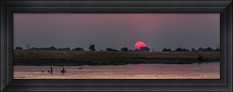 Framed River at Dusk, Chobe River, Botswana Print