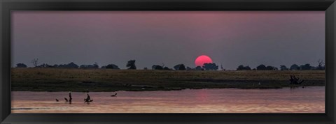 Framed River at Dusk, Chobe River, Botswana Print