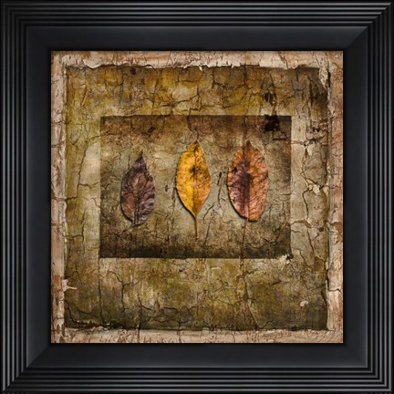 Framed Autumn Leaves I Print