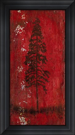 Framed Lodge Pole Pine Print