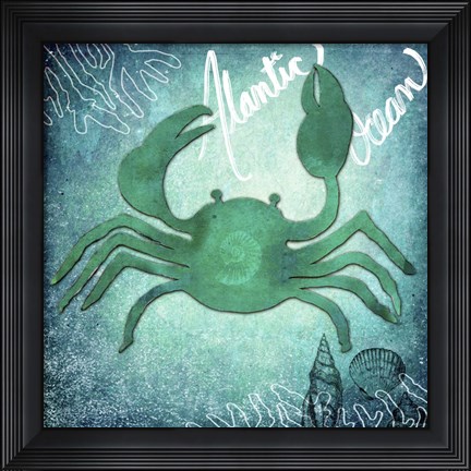 Framed Alantic Ocean Crab Print