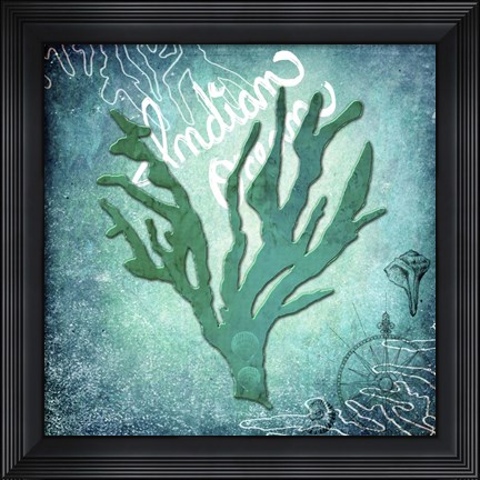 Framed Indian Ocean Coral Print