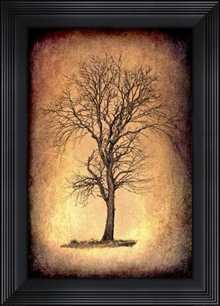 Framed For the Love of Trees II Print