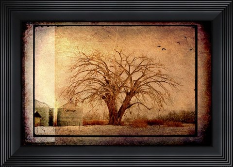 Framed For the Love of Trees IV Print