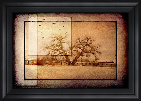 Framed For the Love of Trees V Print