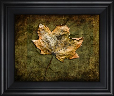 Framed Metallic Leaf 1 Print