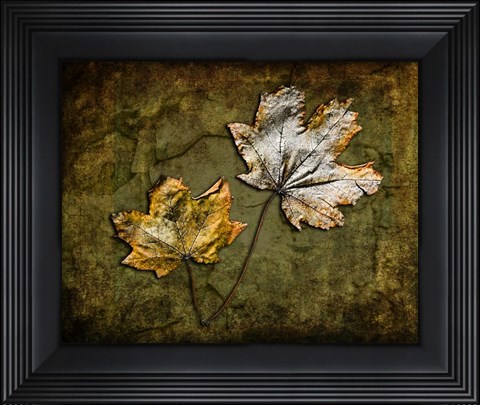Framed Metallic Leaf 2 Print