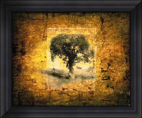 Framed Shadow Trees Print