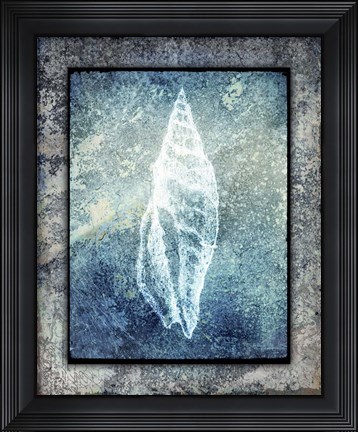 Framed Hello Beach Shell III Print