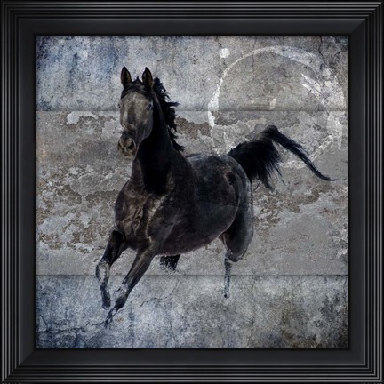 Framed Black Mare 1 Print