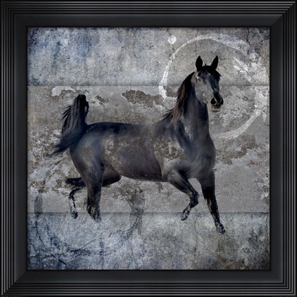 Framed Black Mare 2 Print