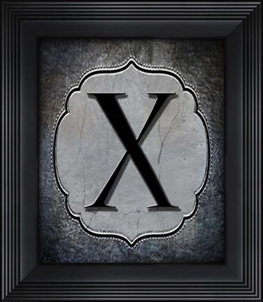 Framed Letter X Print