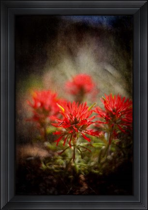 Framed Desert Flower 1 Print
