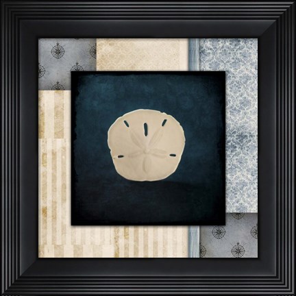 Framed Blue Sea Sand Dollar Print